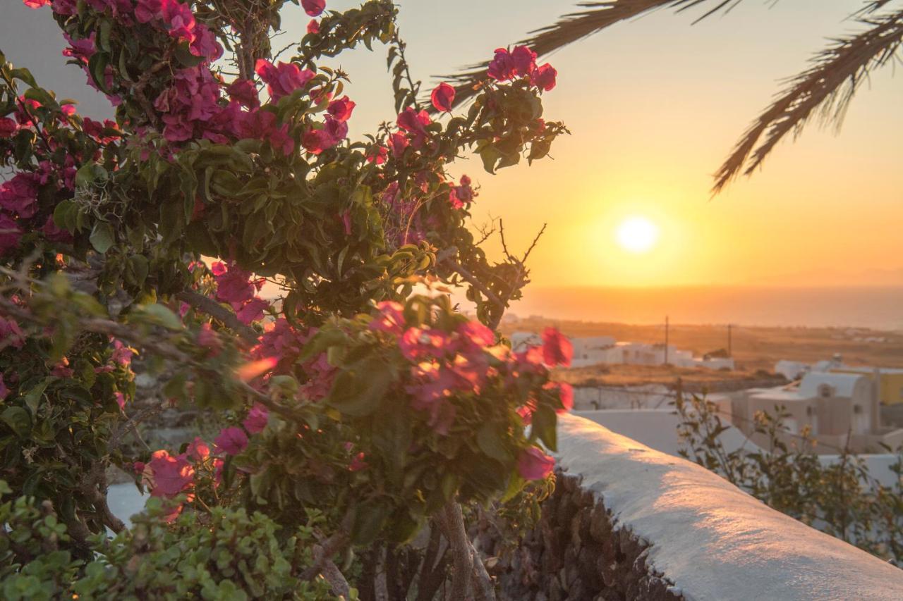 Aqua Serenity Luxury Suites Santorini Finikiá Kültér fotó